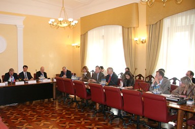 Заседание российской части Российско-Эмиратского Делового Совета