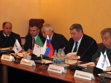 Заседание российской части Российско-Алжирского Делового Совета