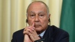 Лига Арабских Государств выступает против раскола арабских стран