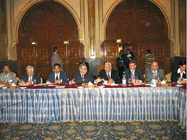 Первое совместное заседание Российско-Арабского Делового Совета, Каир