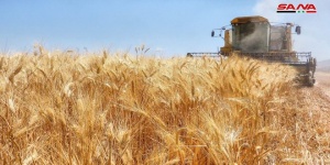 МВД Сирии распорядилось облегчить движение грузовиков и комбайнов для ускорения сбора и сдачи урожая зерновых