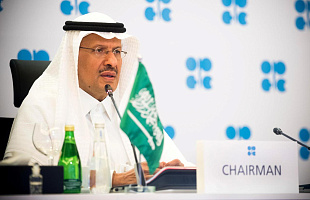 Министерство энергетики Саудовской Аравии поможет завершить проект экономической зоны NEOM