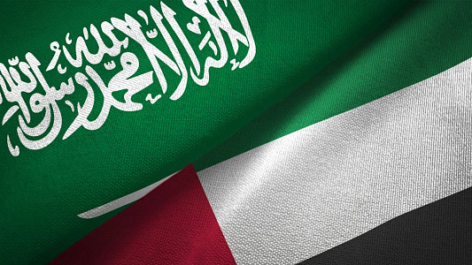 Федерация палат Саудовской Аравии одобрила формирование Делового совета Саудовская Аравия-ОАЭ