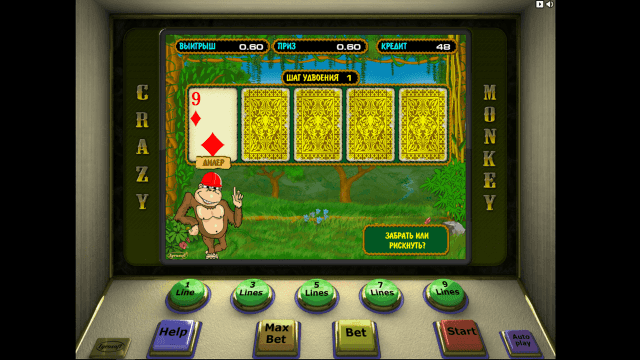Crazy Monkey 4